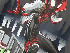 Name It castelrock Spiderman top